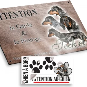 Plaque attention au chien Collage de Teckels avec différentes expressions