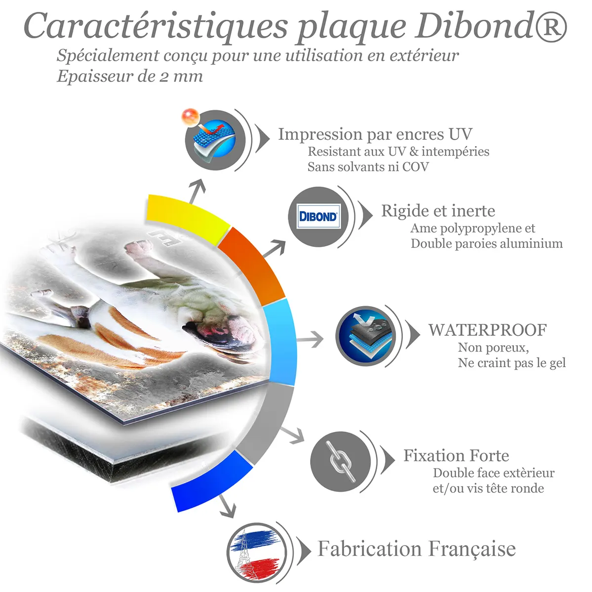 Je monte la garde Bulldog debout avec une robe blanche et marron