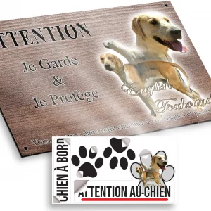 Plaque attention au chien Deux English Foxhounds en pleine nature