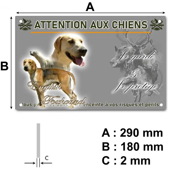 Pancarte Deux English Foxhounds en pleine nature