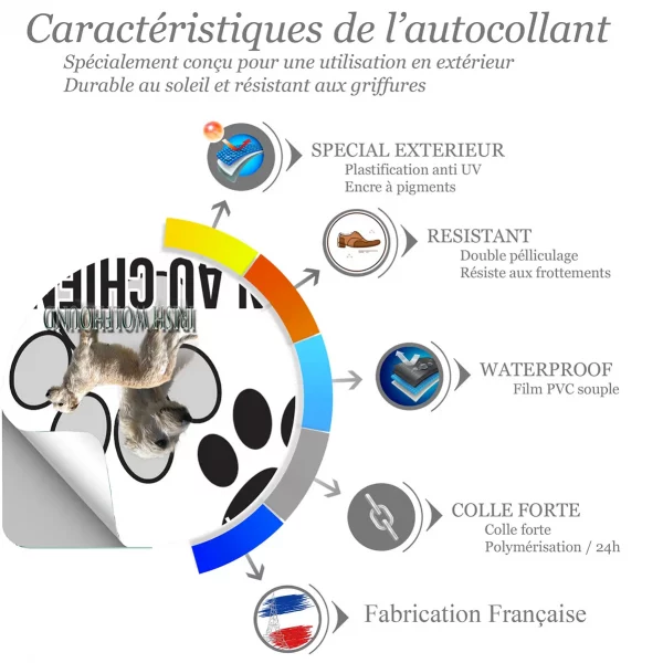 Chien a bord Irish Wolfhound en profil avec texte descriptif