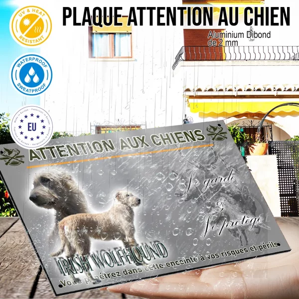 Panneau Irish Wolfhound en profil avec texte descriptif