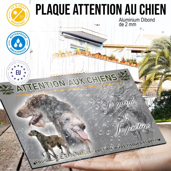 Panneau Un Deerhound illustré avec ses têtes et corps