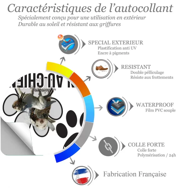 Chien a bord Spinone Italiano tenant un gibier dans sa bouche