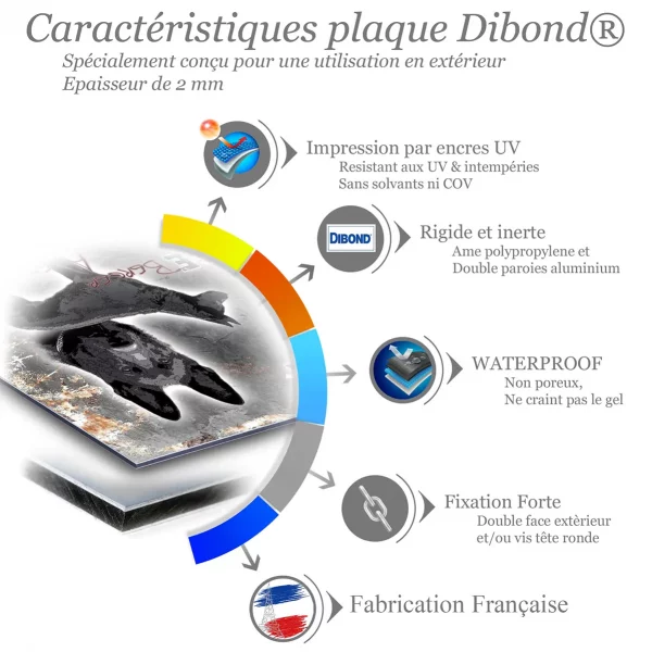 Je monte la garde Illustration de deux Bergers allemands