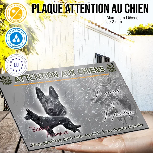Panneau Illustration de deux Bergers allemands
