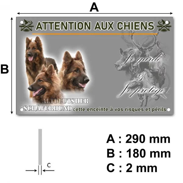 Pancarte Trois portraits d'Altdeutscher Schäferhund sur fond flou