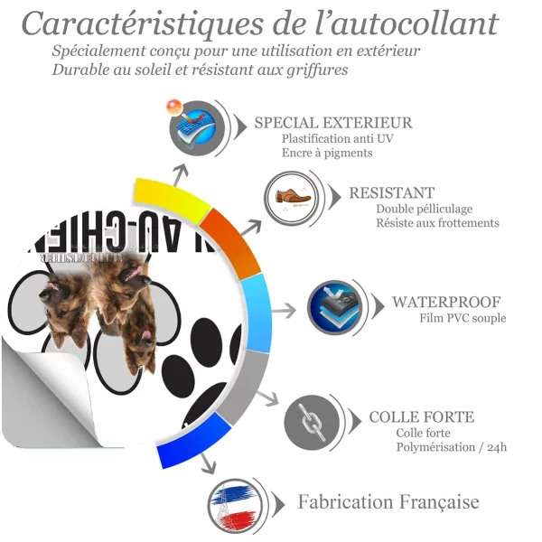 Chien a bord Trois portraits d'Altdeutscher Schäferhund sur fond flou
