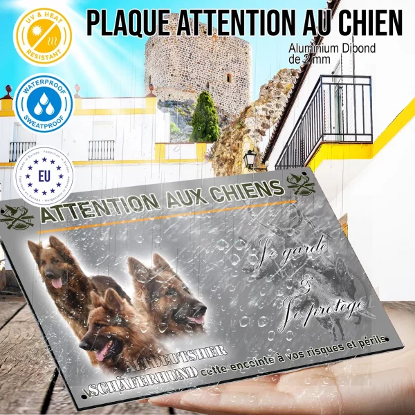 Panneau Trois portraits d'Altdeutscher Schäferhund sur fond flou