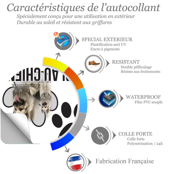Chien a bord Altdeutscher Schäferhund en portrait et en profil