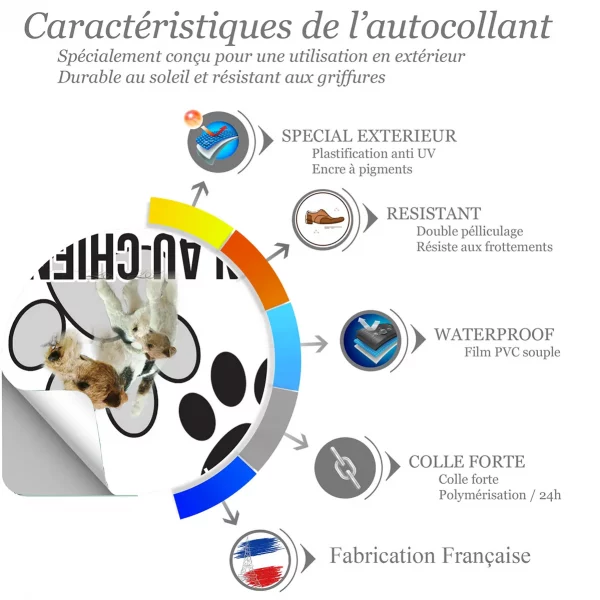 Chien a bord Deux Fox Terriers