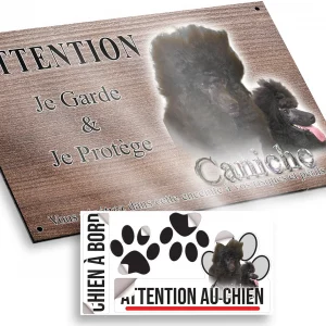 Plaque attention au chien Deux caniches noirs avec un pelage bouclé et volumineux