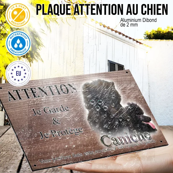 Panneau attention au chien Deux caniches noirs avec un pelage bouclé et volumineux