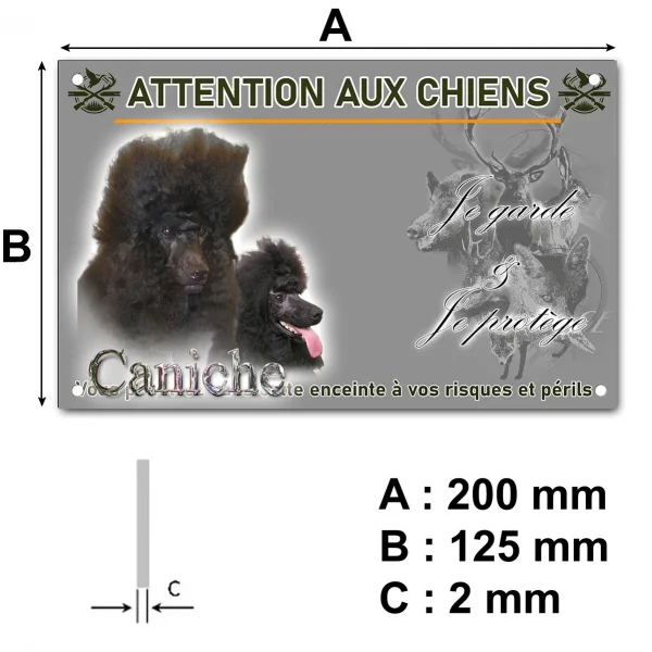 Panneau Deux caniches noirs avec un pelage bouclé et volumineux