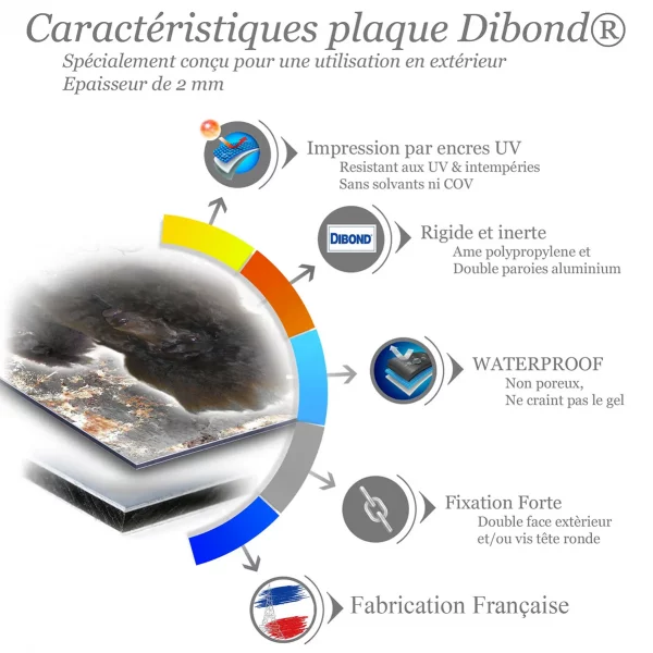 Je monte la garde Deux caniches noirs avec un pelage bouclé et volumineux