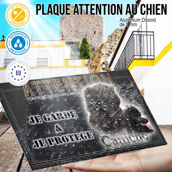 Panneau chien de garde Deux caniches noirs avec un pelage bouclé et volumineux