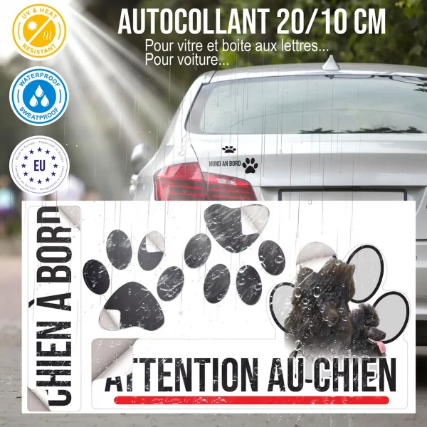Plaque chien de garde Deux caniches noirs avec un pelage bouclé et volumineux