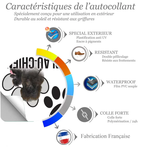 Chien a bord Deux caniches noirs avec un pelage bouclé et volumineux