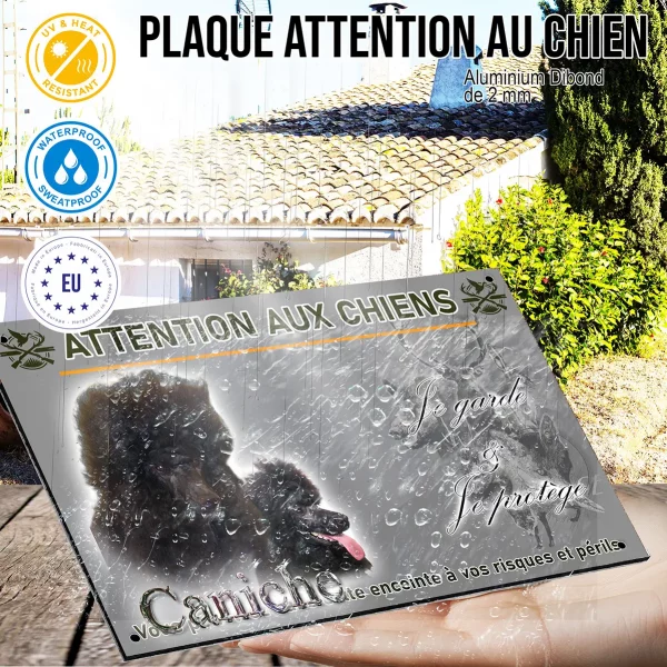 Panneau Deux caniches noirs avec un pelage bouclé et volumineux