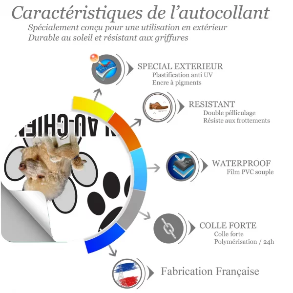 Chien a bord Deux Caniches