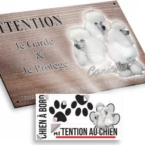 Plaque attention au chien Trois caniches blancs avec un pelage soyeux et volumineux