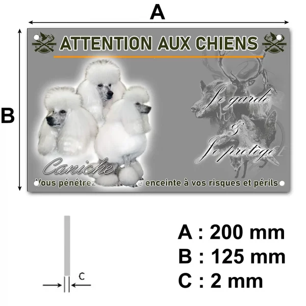 Panneau Trois caniches blancs avec un pelage soyeux et volumineux