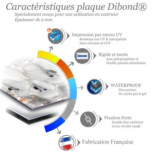Je monte la garde Trois caniches blancs avec un pelage soyeux et volumineux