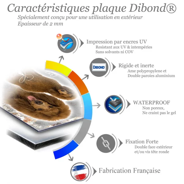 Je monte la garde Deux caniches marron dans un design élégant