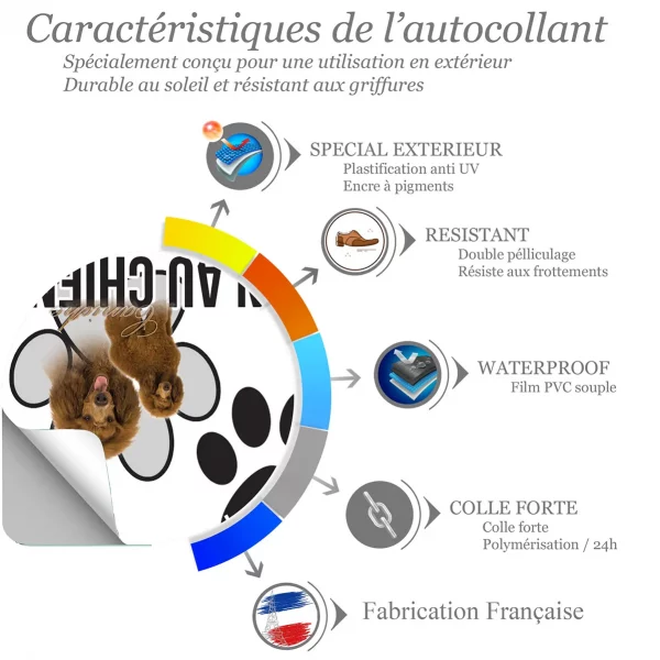 Chien a bord Deux caniches marron dans un design élégant