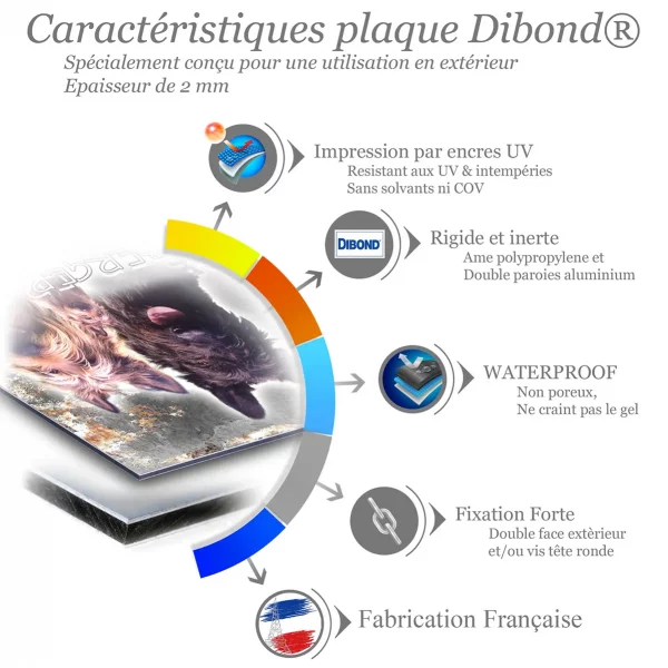 Je monte la garde Trois Berger Picard montrant leurs expressions amicales