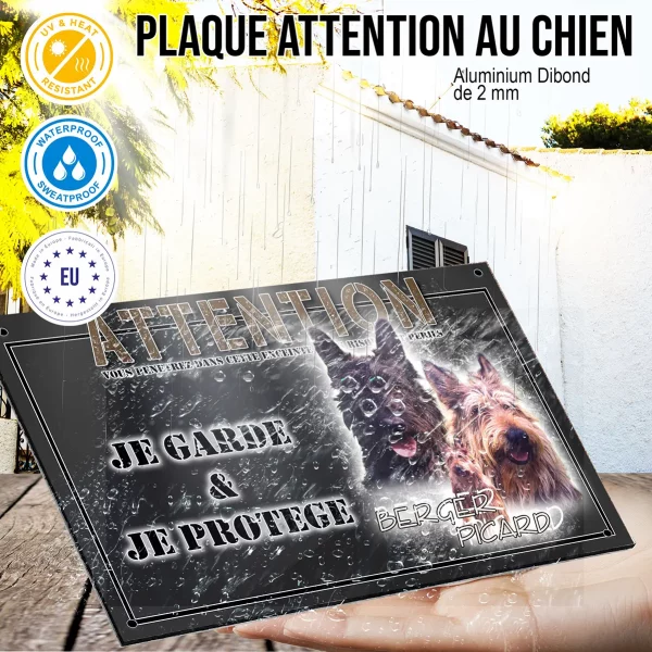 Panneau chien de garde Trois Berger Picard montrant leurs expressions amicales