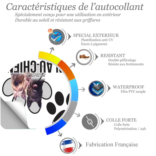 Chien a bord Trois Berger Picard montrant leurs expressions amicales