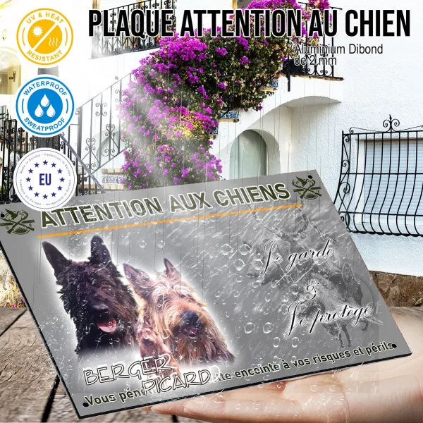Panneau Trois Berger Picard montrant leurs expressions amicales