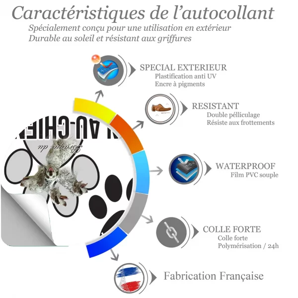 Chien a bord Braque du Bourbonnais avec un chien entier et têtes en profil
