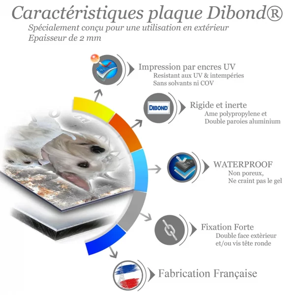 Je monte la garde Deux Schnauzers blancs sur fond graphique noir