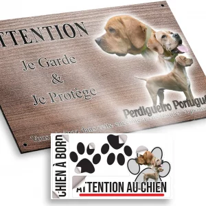 Plaque attention au chien Trois chiens Perdigueiro Portugais avec divers angles et expressions