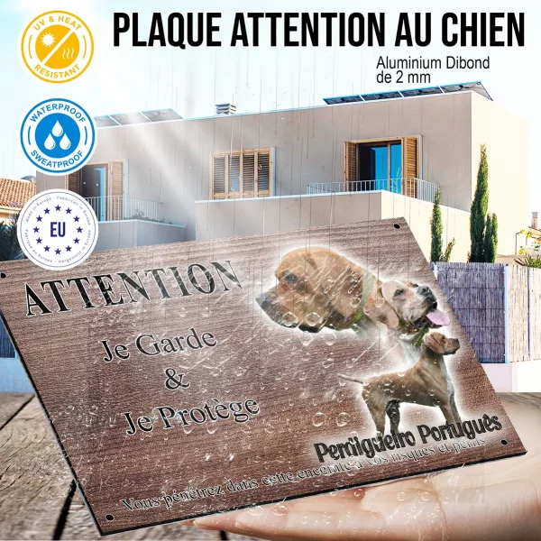 Panneau attention au chien Trois chiens Perdigueiro Portugais avec divers angles et expressions
