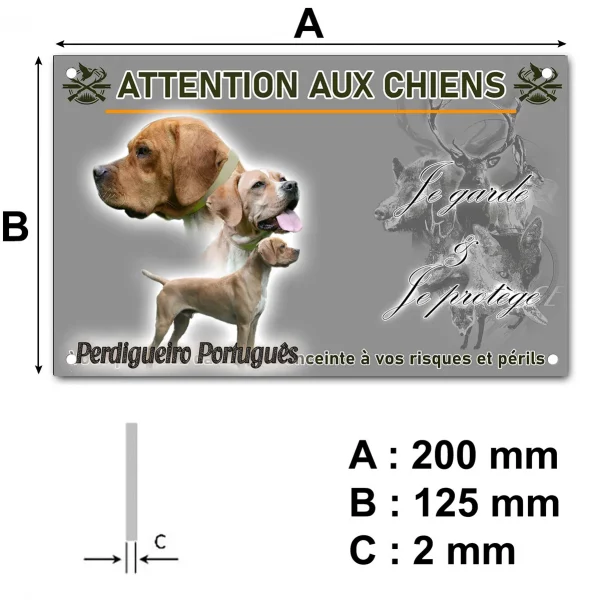 Panneau Trois chiens Perdigueiro Portugais avec divers angles et expressions