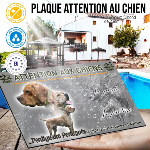 Panneau Trois chiens Perdigueiro Portugais avec divers angles et expressions