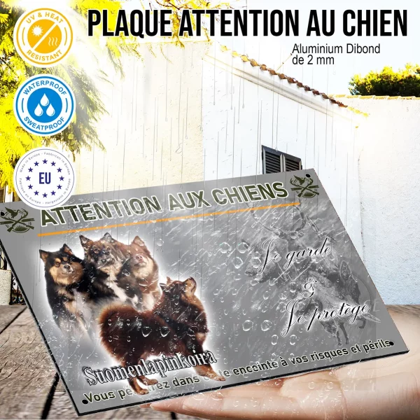 Panneau Quatre chiens Suomenlapinkoira sur fond transparent.