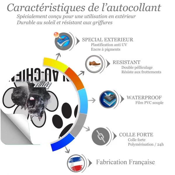 Chien a bord Bouviers des Flandres