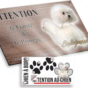 Plaque attention au chien Deux chiens Bolognese aux pelages blancs et bouclés