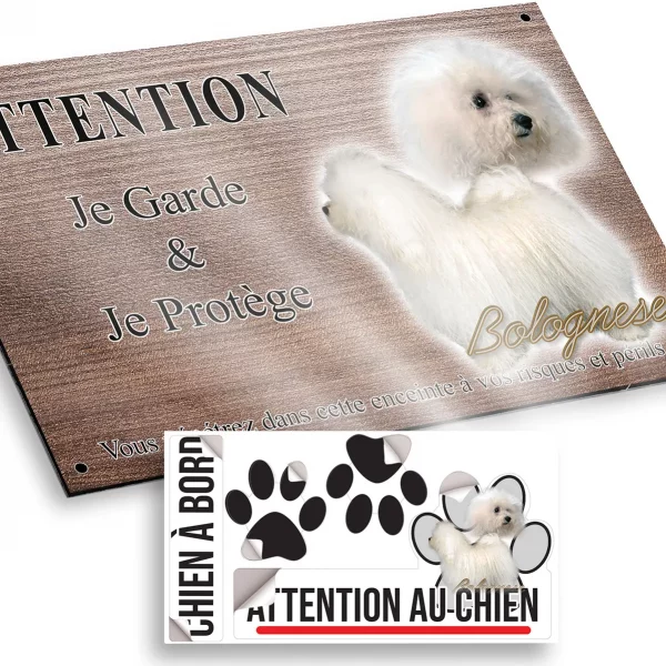 Plaque attention au chien Deux chiens Bolognese aux pelages blancs et bouclés