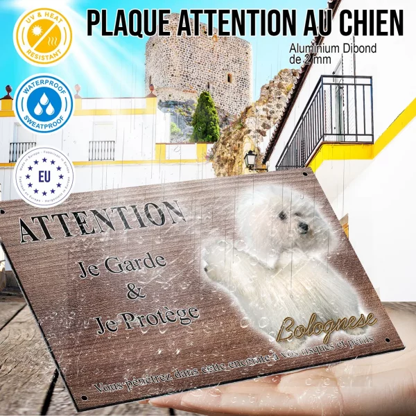 Panneau attention au chien Deux chiens Bolognese aux pelages blancs et bouclés