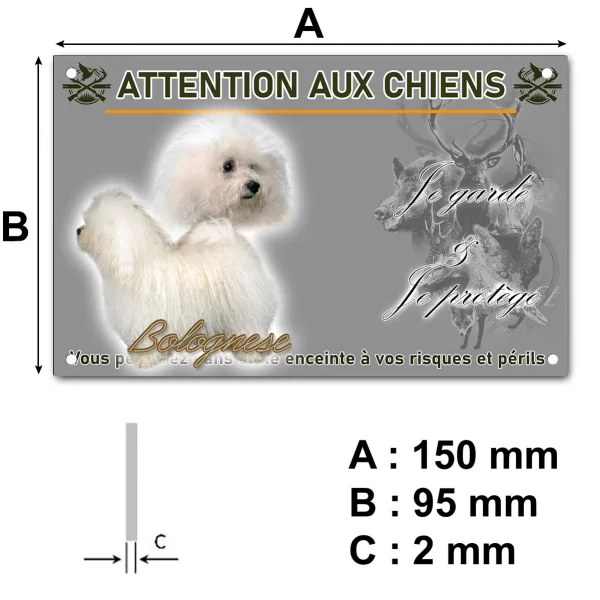 Plaque Deux chiens Bolognese aux pelages blancs et bouclés
