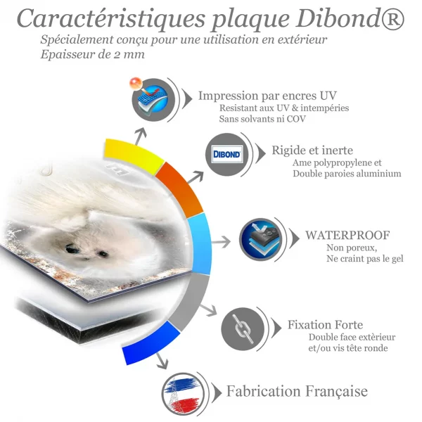 Je monte la garde Deux chiens Bolognese aux pelages blancs et bouclés