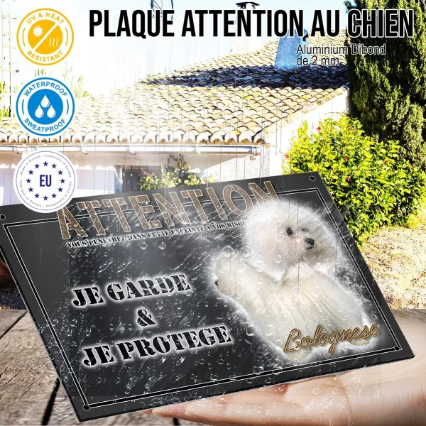 Panneau chien de garde Deux chiens Bolognese aux pelages blancs et bouclés