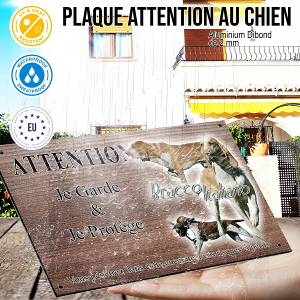 Panneau attention au chien Bracco Italiano en mouvement et en gros plan
