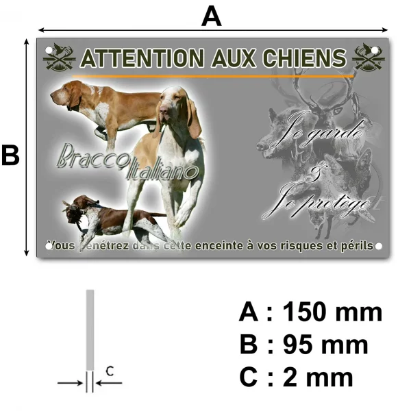 Plaque Bracco Italiano en mouvement et en gros plan