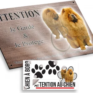 Plaque attention au chien Deux chiens Chow Chow avec une fourrure dense et dorée